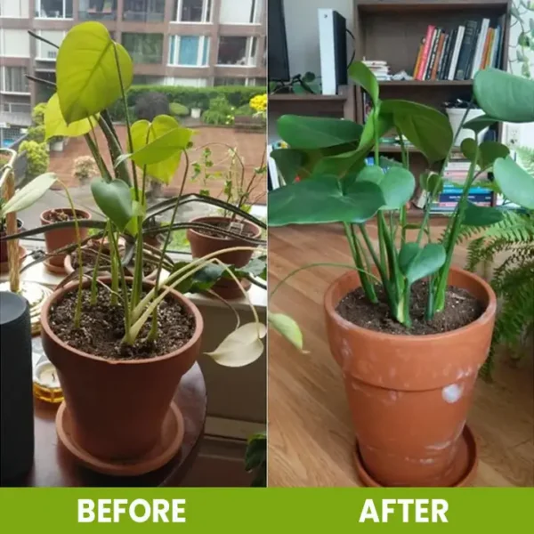 CVREOZ Soil Activator