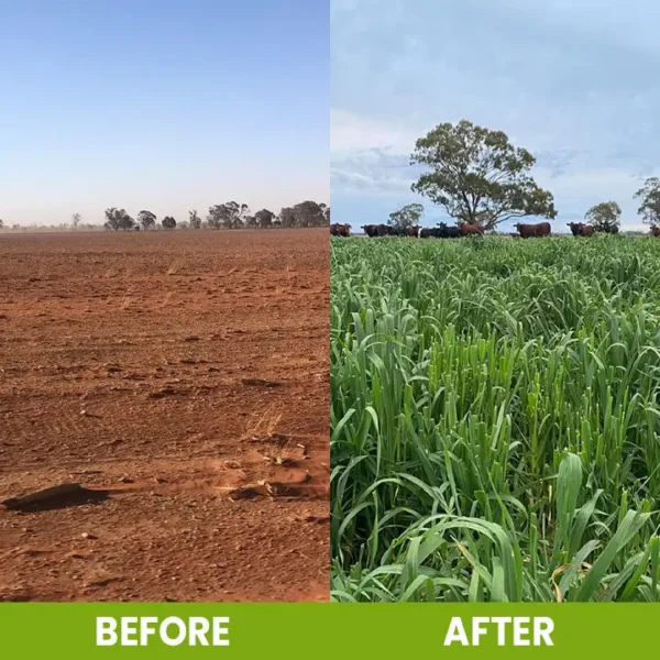 CVREOZ Soil Activator