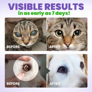 ⏱️ Fast Results 🌟 Official Store | Cvreoz® PetPro Eye Drops