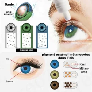 Cvreoz® Gouttes EyeCandy